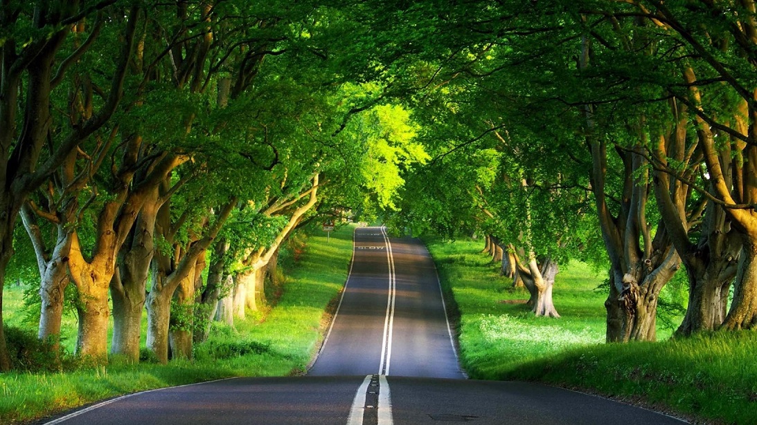 Green Road Image
